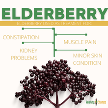 Load image into Gallery viewer, Healthy Champs Elderberry Syrup - Pure Honey Made - Healthy Champs
