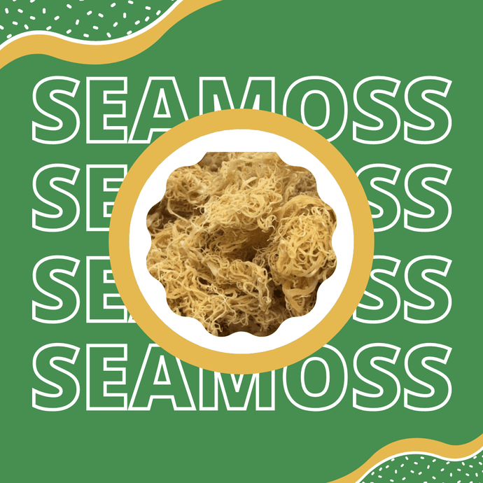 Wild Crafted Raw Sea Moss - Perfect for Gel & Smoothies, Clean Ocean Harvest, Hand Picked & Sun Dried - Bulk Jamaican Moss Superfood - Healthy Champs